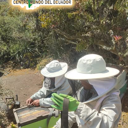 Apicultores trabajando con una colmena